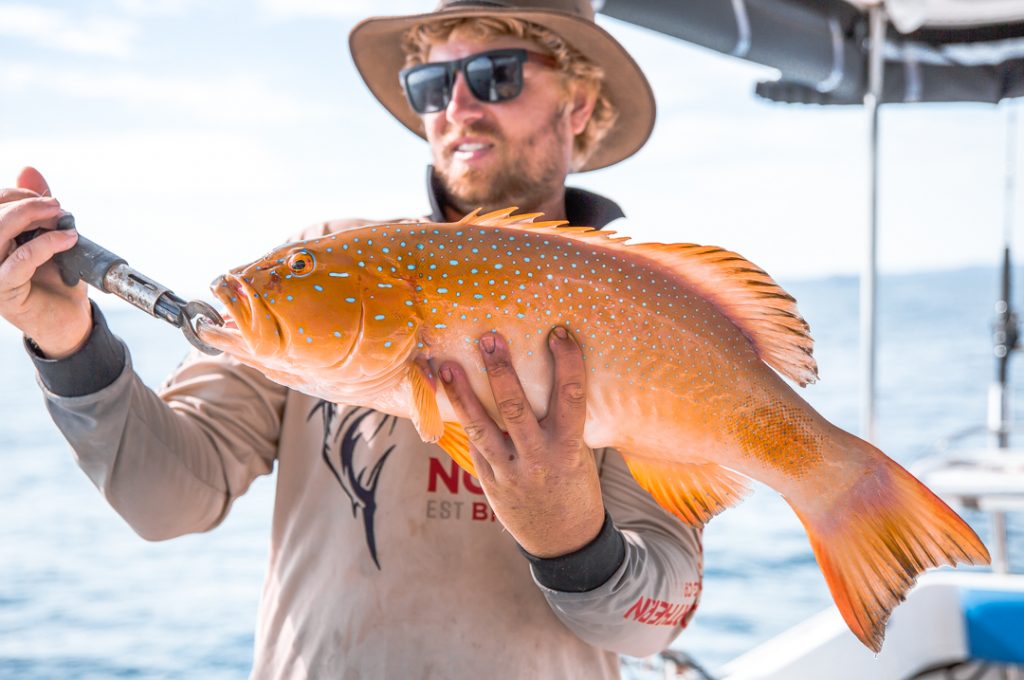 Hervey Bay Fishing Charter-2 Coral Trout