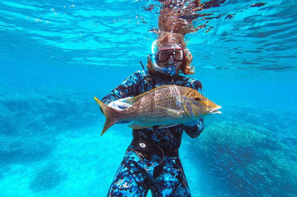 Spearfishing Lady Musgrave